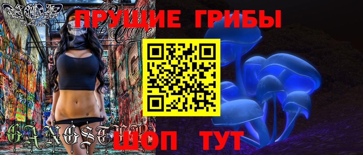 Псилоцибиновые грибы Psilocybe  Вход с VPN  Галлюциногенные грибы Psilocybine cubensis  купить наркотики цена  Нововоронеж 